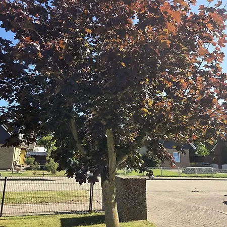 Apartamento Lieblingsinsel